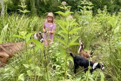 Camper with Goats