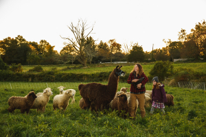 The young flock