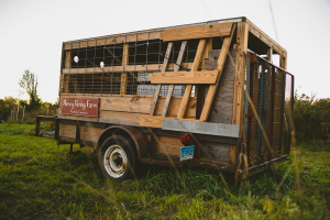 The Henny Penny Chariot