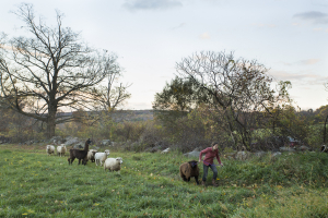 Moving between fields