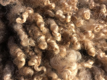 A natural color fleece