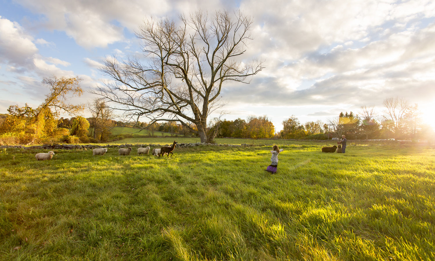 Henny Penny Farm, Ridgefield, CT