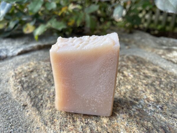 Jewelweed a.k.a. Gardener's First Aid Soap!