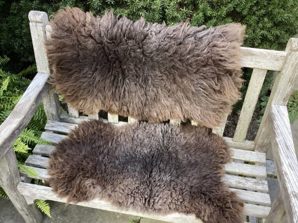 Sheepskins - Image 3